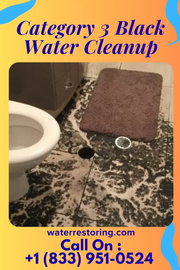 Category 3 Black Water Cleanup in Scaggsville, MD