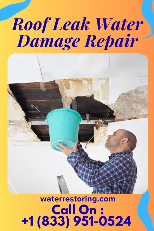 Roof Leak Water Damage Repair in Scaggsville, MD