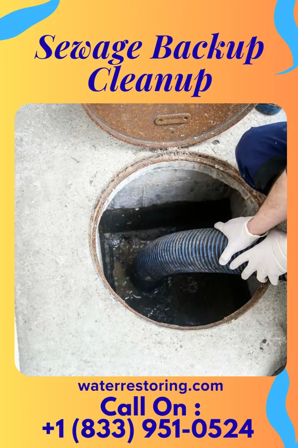 Sewage Backup Cleanup in Scaggsville, MD