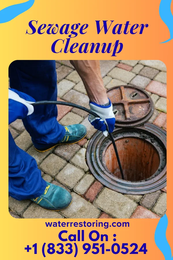 Sewage Water Cleanup in Scaggsville, MD