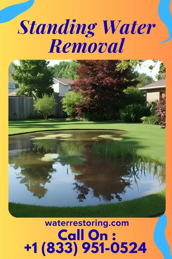 Standing Water Removal in Scaggsville, MD